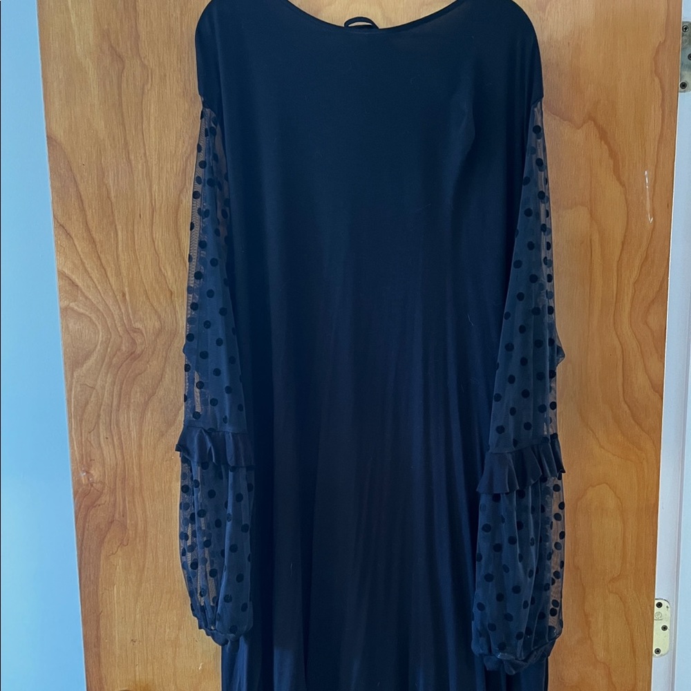 Black cotton dress with tie back and sheer polka dot long sleeves. So cute!